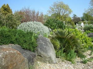 Dry Garden_0025.JPG